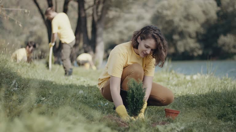 Best Lawn Drainage Solutions  in Marshall, MN